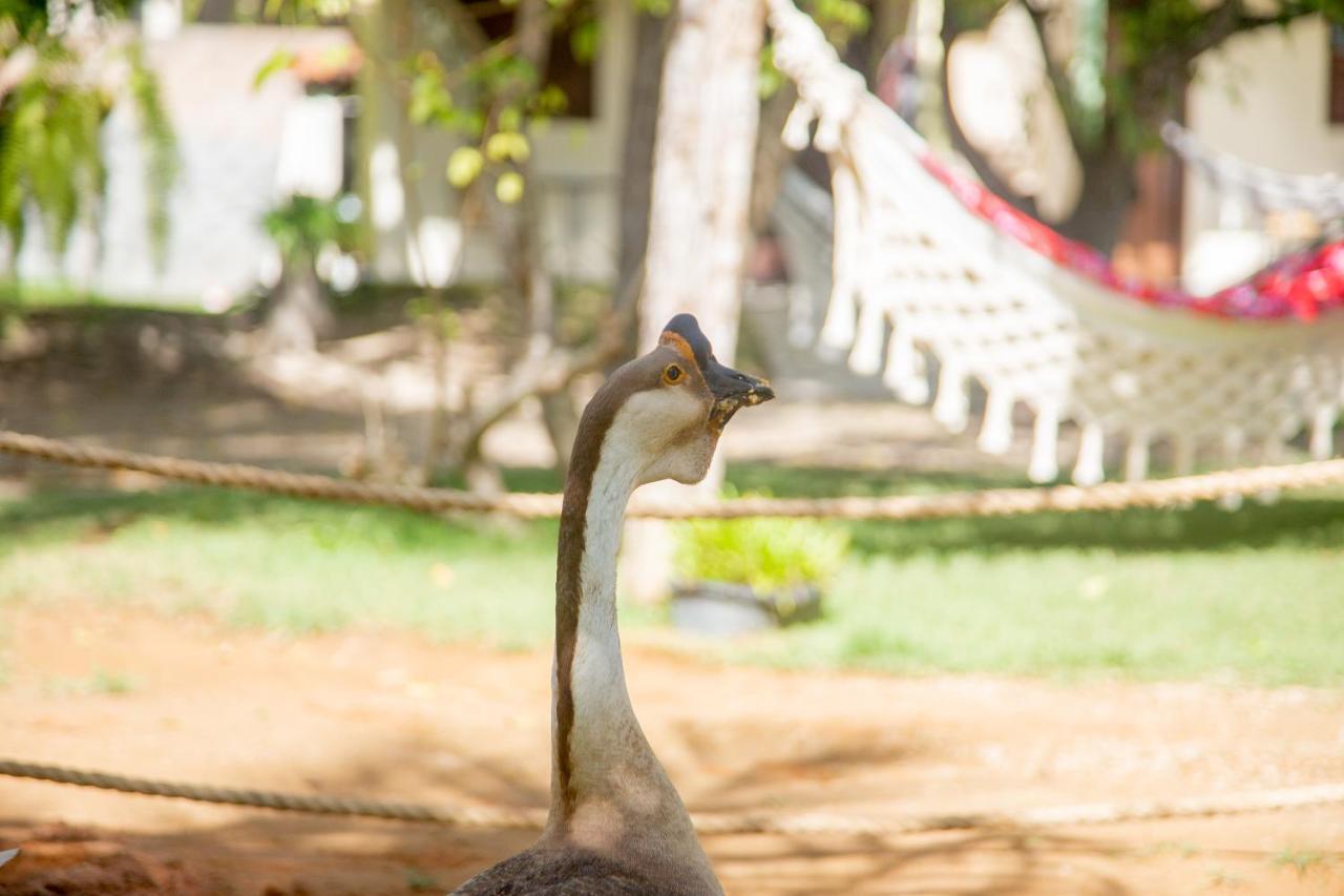 Recanto Caicara Pousada São Miguel dos Milagres 外观 照片